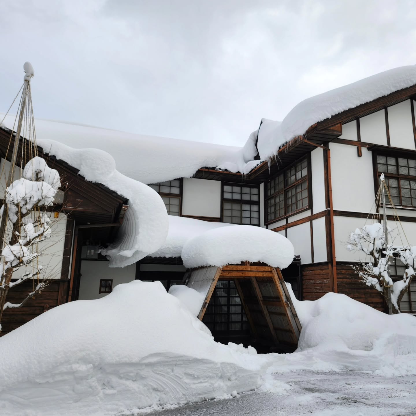 今週末の和紙文庫営業案内八尾は豪雪…今週に入り雪が降り積もり、今夜からもまた大荒れの天気予報が出ています。本日2月7日(金)通常通り営業しております。明日2月8日(土)は臨時休館になります。明後日2月9日(日)は通常営業予定です。ご理解のほどよろしくお願いいたします。#大雪#豪雪#営業案内#臨時休業#天気予報#和紙文庫#富山市#八尾町